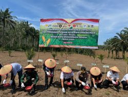 Polres Mesuji melaksanakan Penanaman Jagung Serentak Kuartal IV dan Peresmian Gudang Ketahanan Pangan