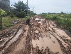 MASYARAKAT DESA PANGGUNG REJO BERHARAP PEMERINTAH DAERAH SECEPATNYA PERBAIKI JALAN DESA YANG RUSAK BERAT